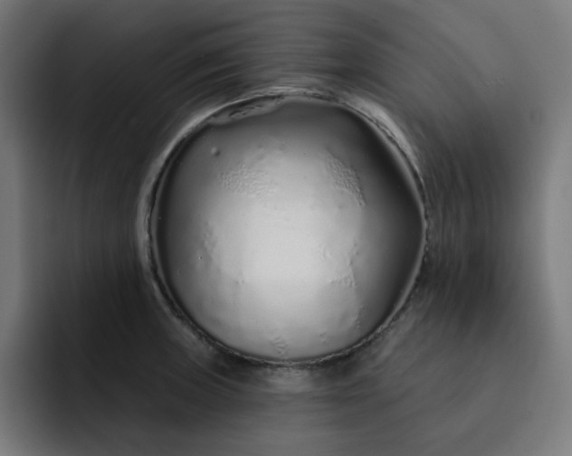 X0000093141235200710101111