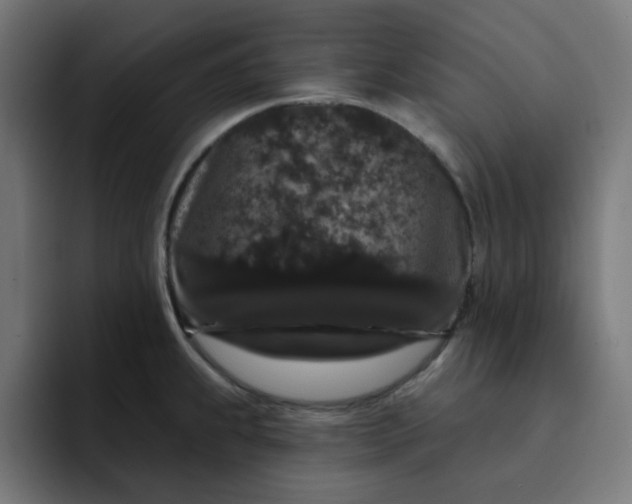 X0000093141239200710101111