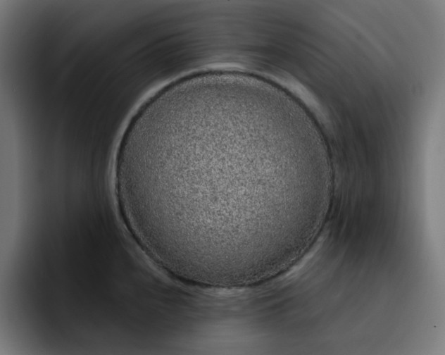 X0000093141240200710101111