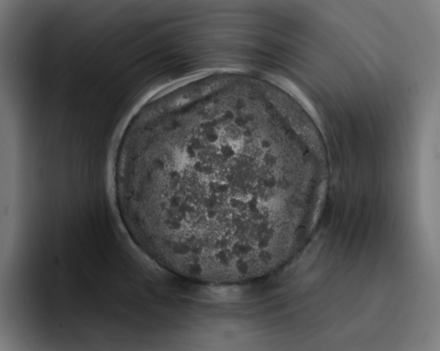 X0000093141243200710101111