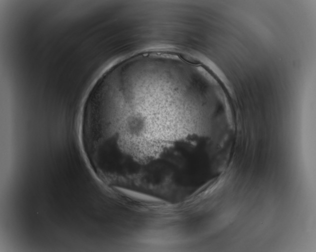 X0000093141245200710101111