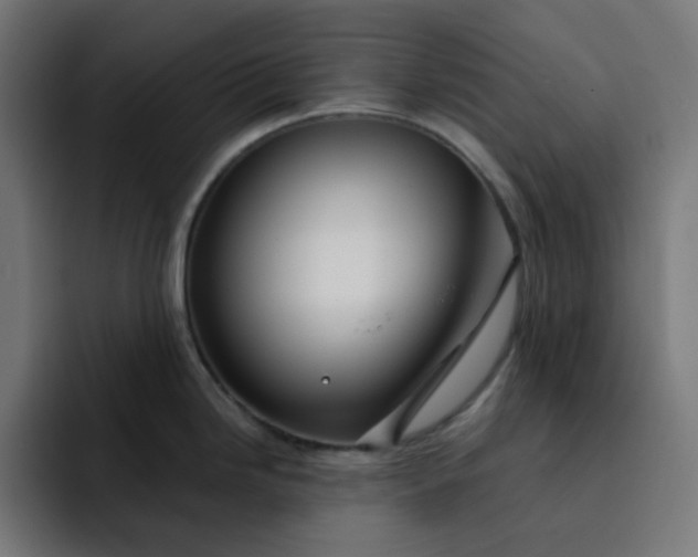 X0000093141246200710101111