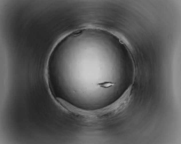 X0000093141247200710101111