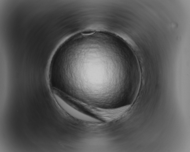 X0000093141248200710101111