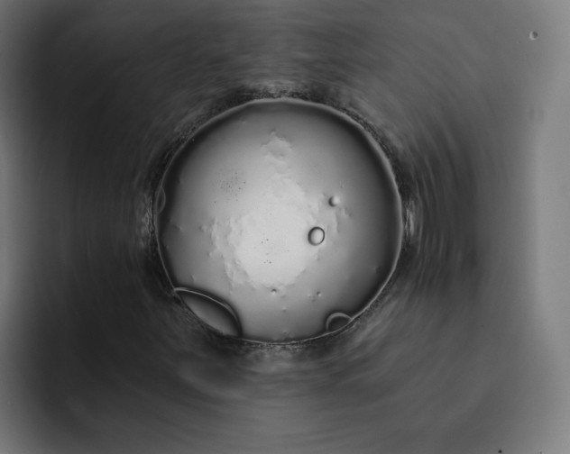 X0000093141251200710101111