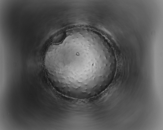 X0000093141255200710101111