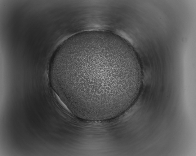 X0000093141259200710101111