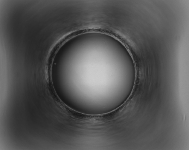 X0000093141262200710101111