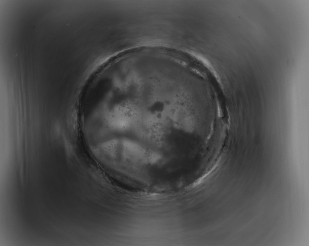 X0000093141263200710101111