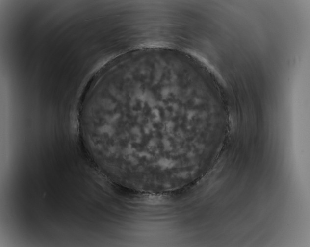 X0000093141266200710101111