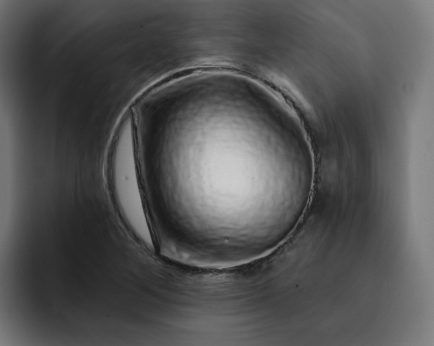 X0000093141268200710101111