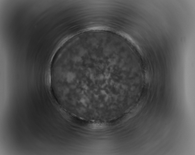 X0000093141274200710101111