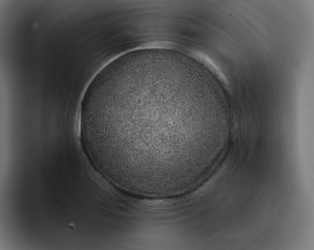 X0000093141276200710101111