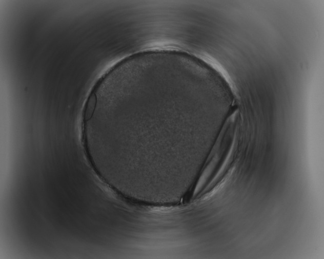 X0000093141277200710101111