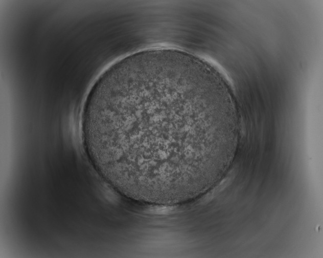 X0000093141278200710101111