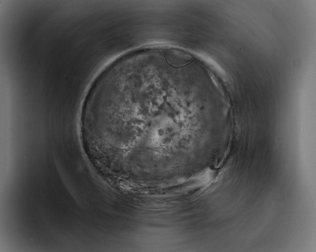 X0000093141279200710101111