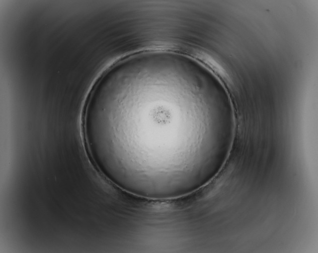 X0000093141283200710101110