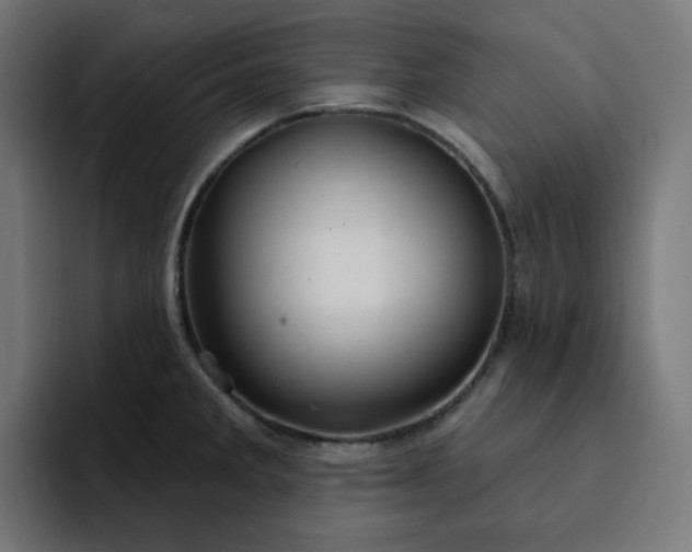 X0000093141285200710101110