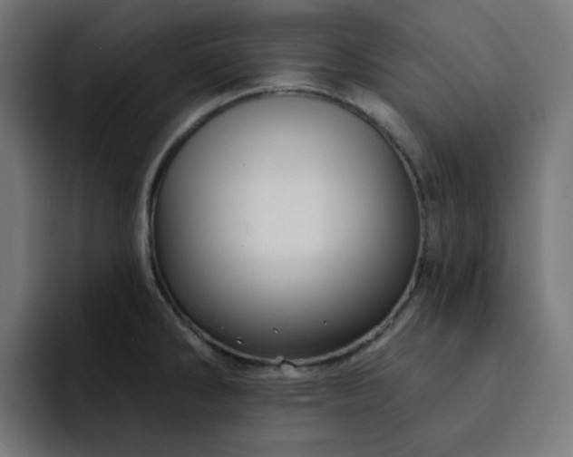 X0000093141286200710101110