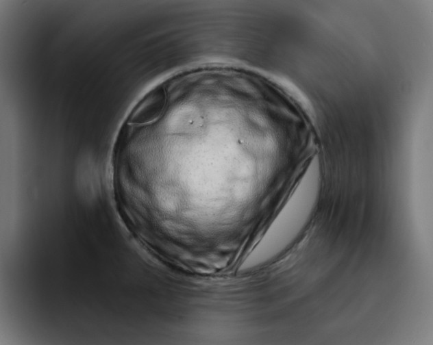 X0000093141287200710101110