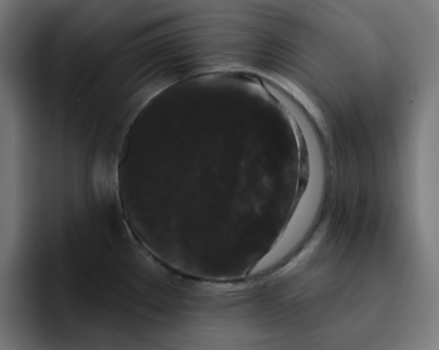 X0000093141289200710101110