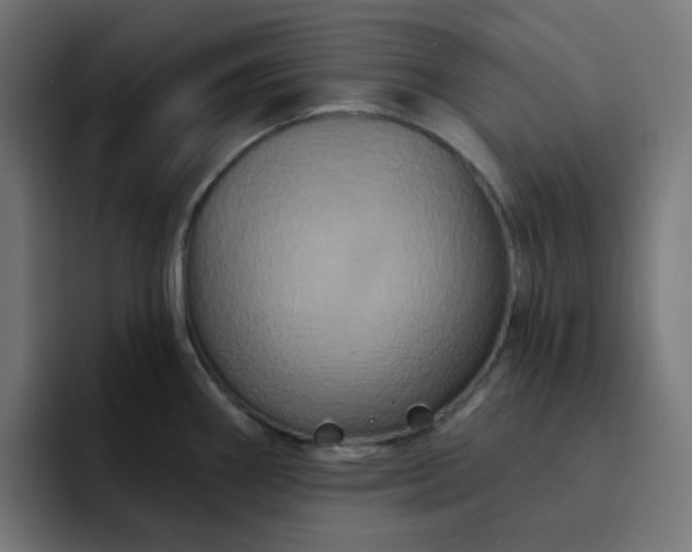 X0000093141290200710101110