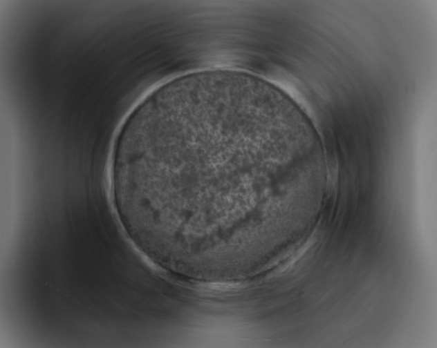 X0000093141294200710101110