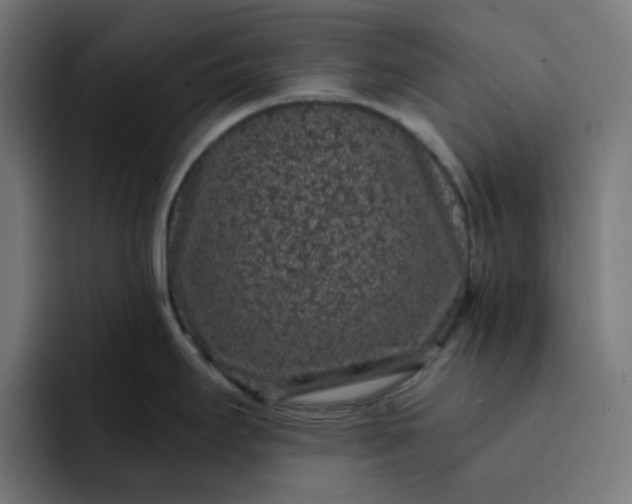 X0000093141295200710101110