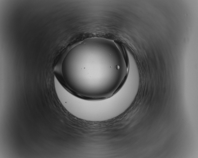 X0000093141298200710101110