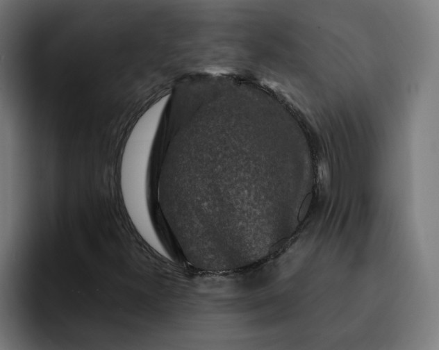 X0000093141300200710101110