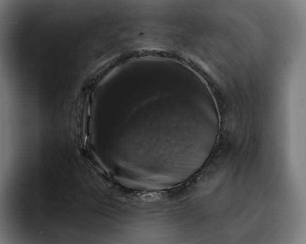 X0000093141303200710101110