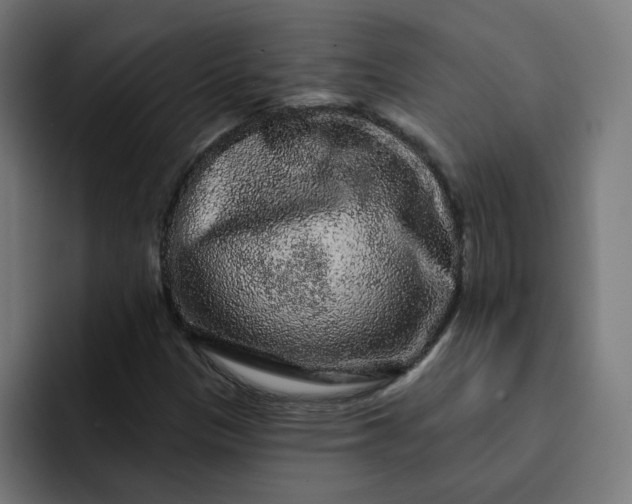 X0000093141305200710101110