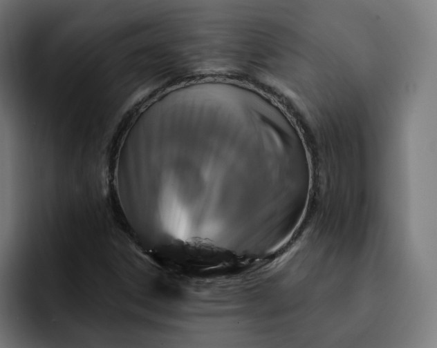 X0000093141306200710101110