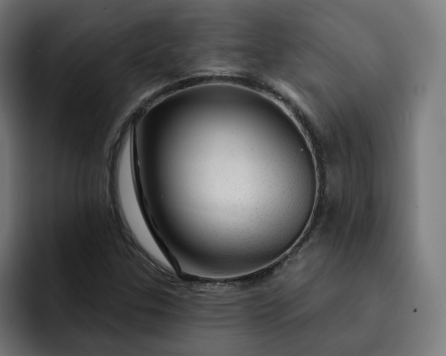 X0000093141307200710101110