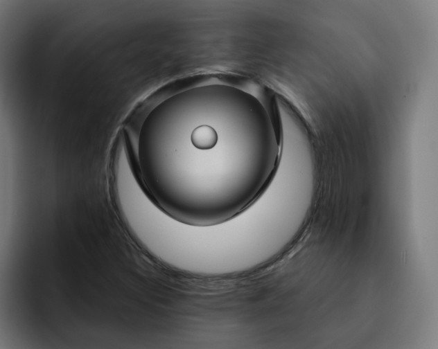 X0000093141308200710101110