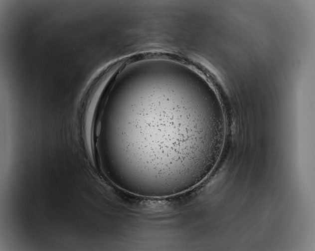 X0000093141310200710101110