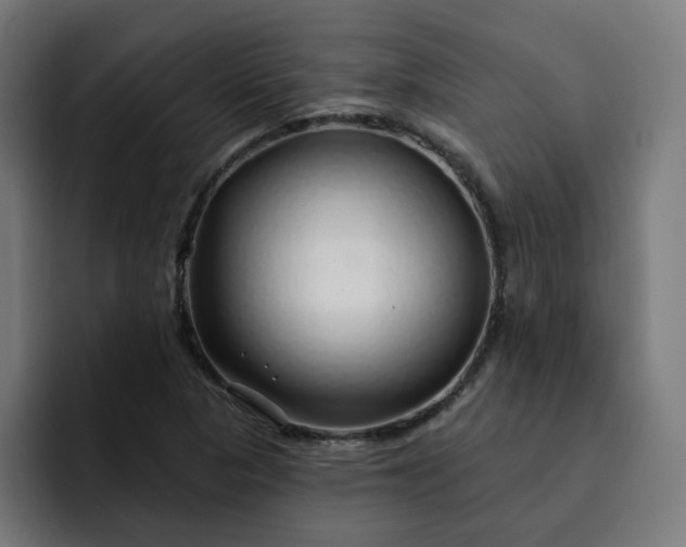 X0000093141313200710101110