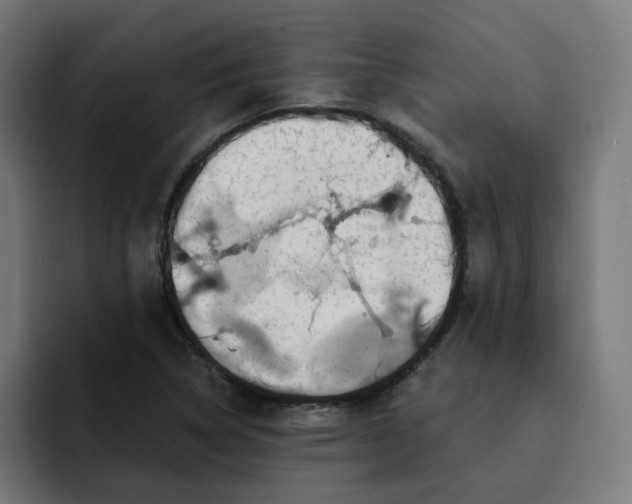 X0000093141314200710101110