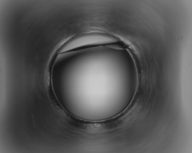 X0000093141317200710101110