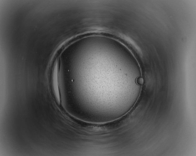 X0000093141318200710101110