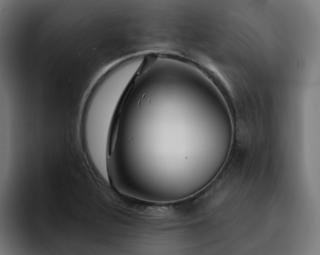 X0000093141320200710101110