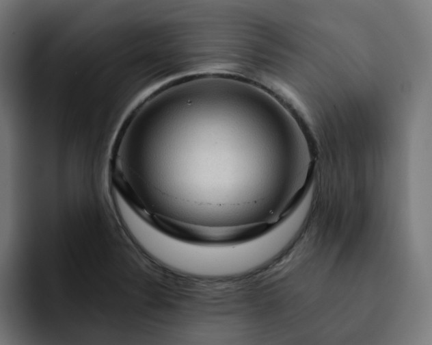 X0000093141324200710101110