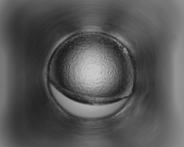 X0000093141325200710101110