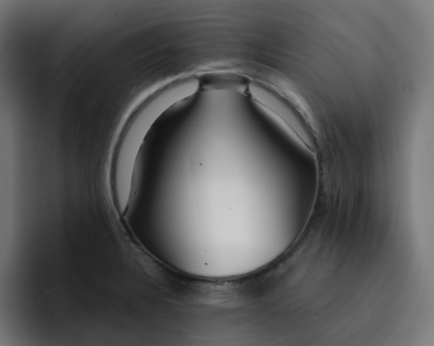 X0000093141328200710101110