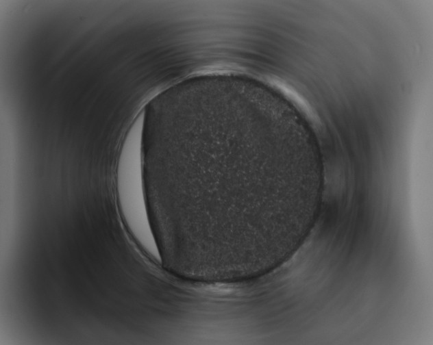 X0000093141329200710101110