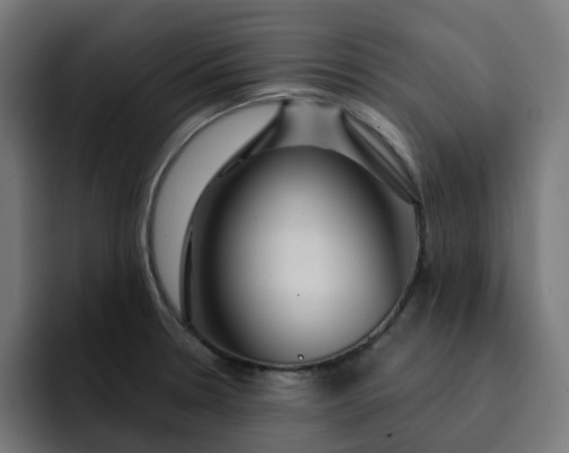 X0000093141330200710101110