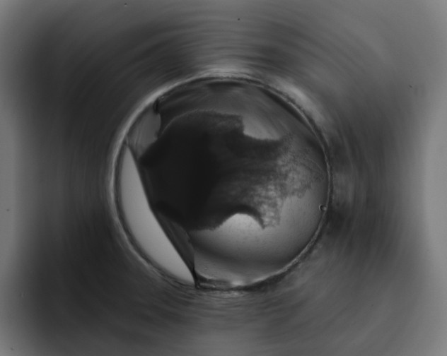 X0000093141331200710101110