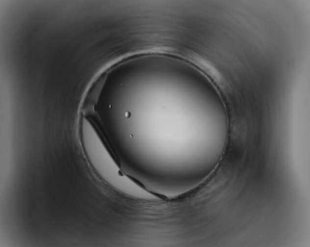 X0000093141332200710101110