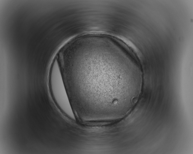 X0000093141333200710101110