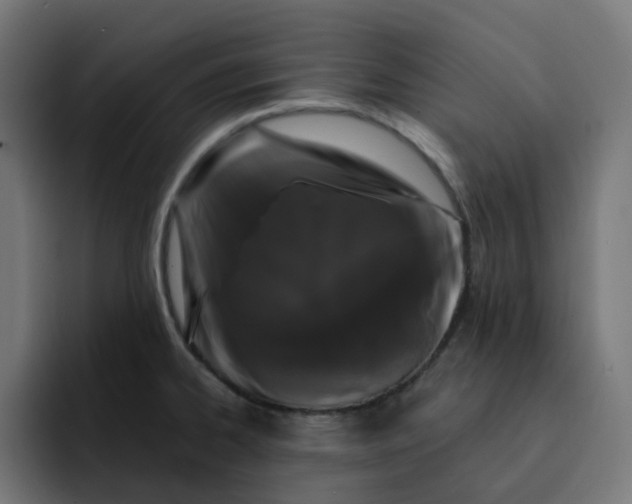 X0000093141334200710101110